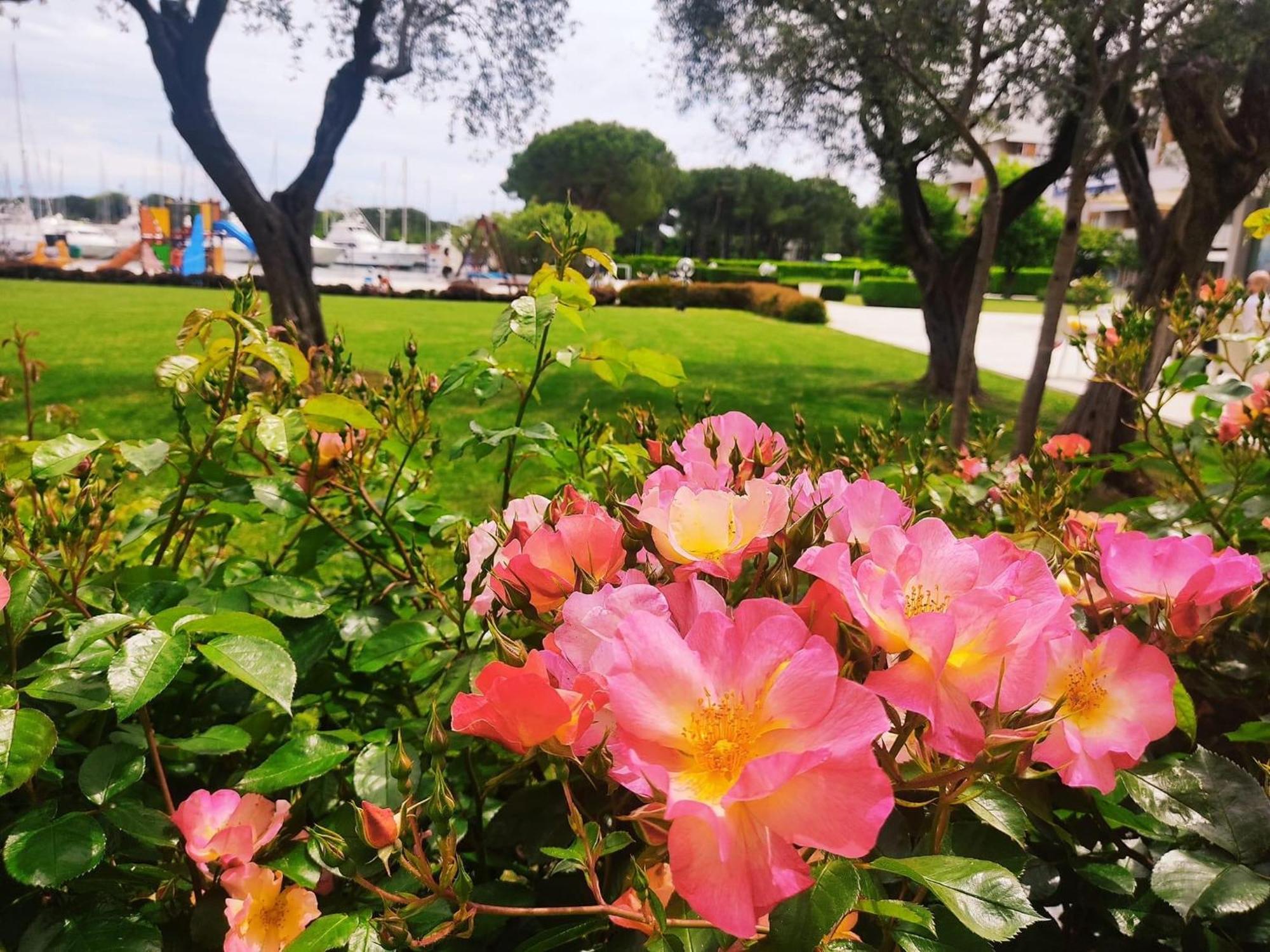 Signora Ruth - Aprilia Residence Aprilia Marittima Εξωτερικό φωτογραφία