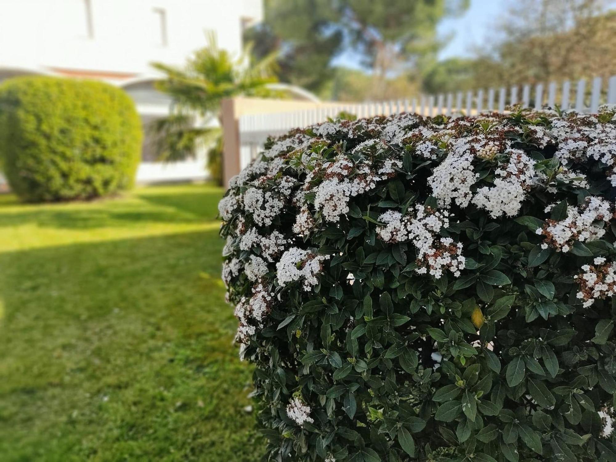 Signora Ruth - Aprilia Residence Aprilia Marittima Εξωτερικό φωτογραφία