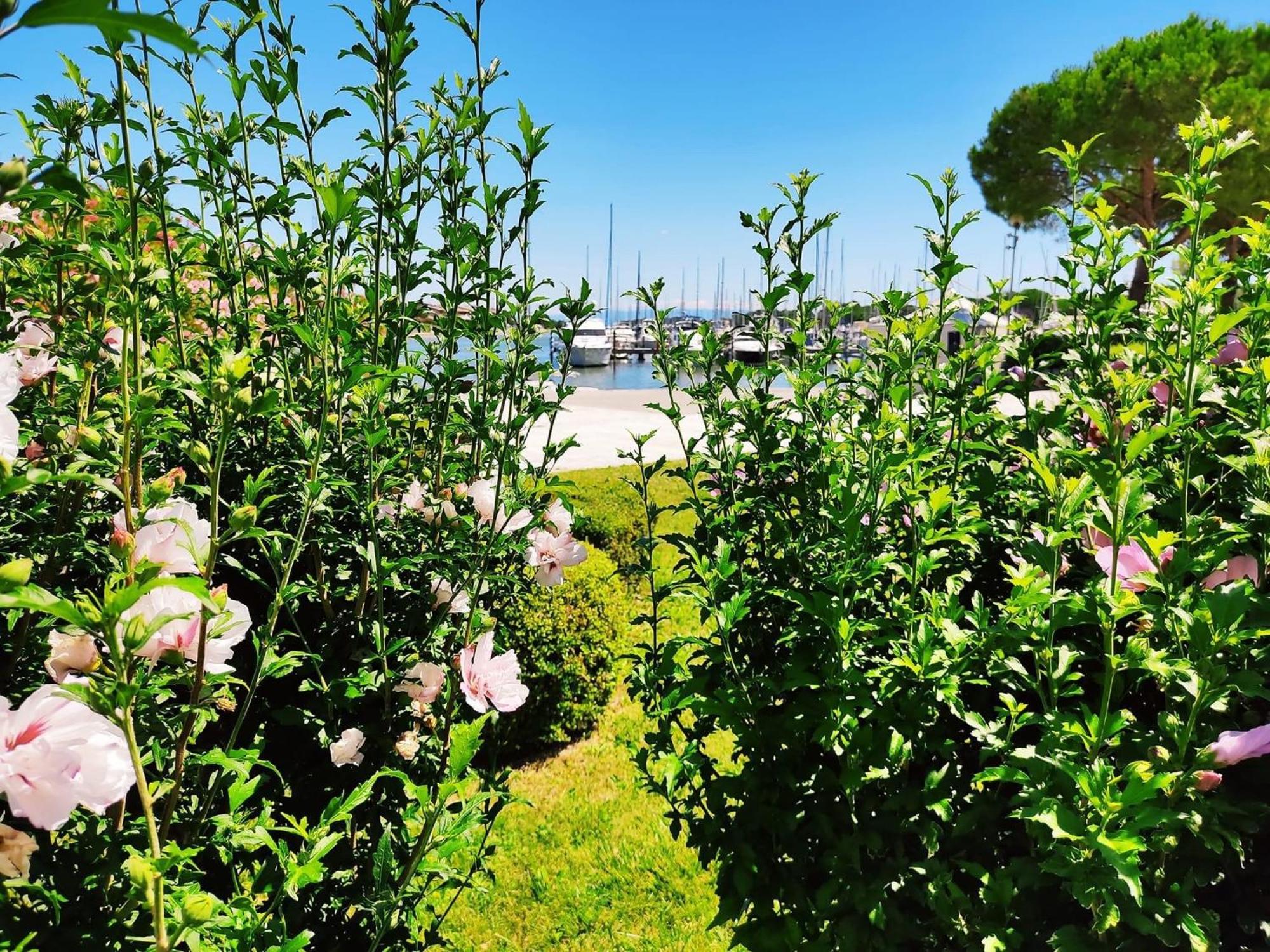 Signora Ruth - Aprilia Residence Aprilia Marittima Εξωτερικό φωτογραφία