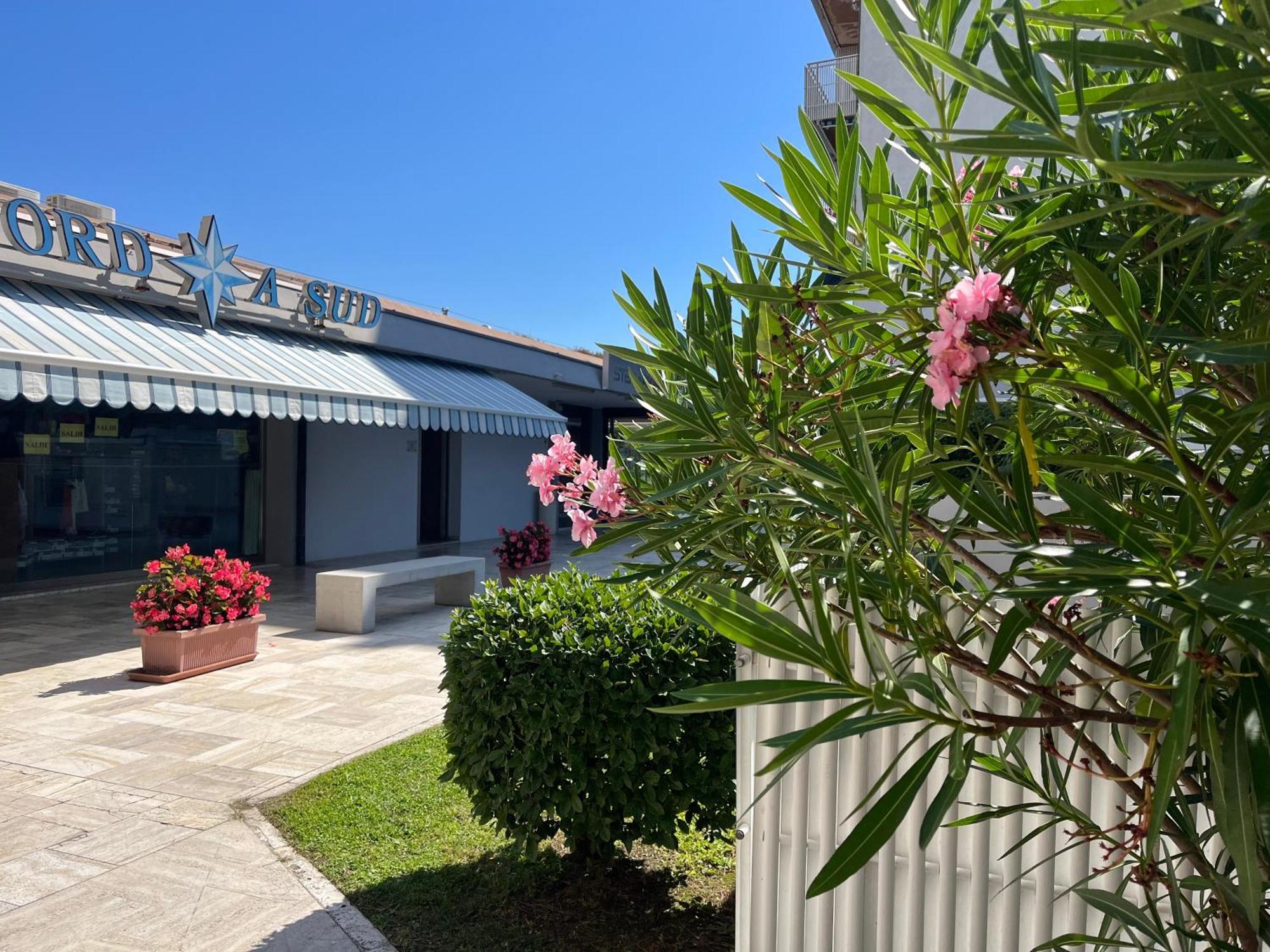Signora Ruth - Aprilia Residence Aprilia Marittima Εξωτερικό φωτογραφία