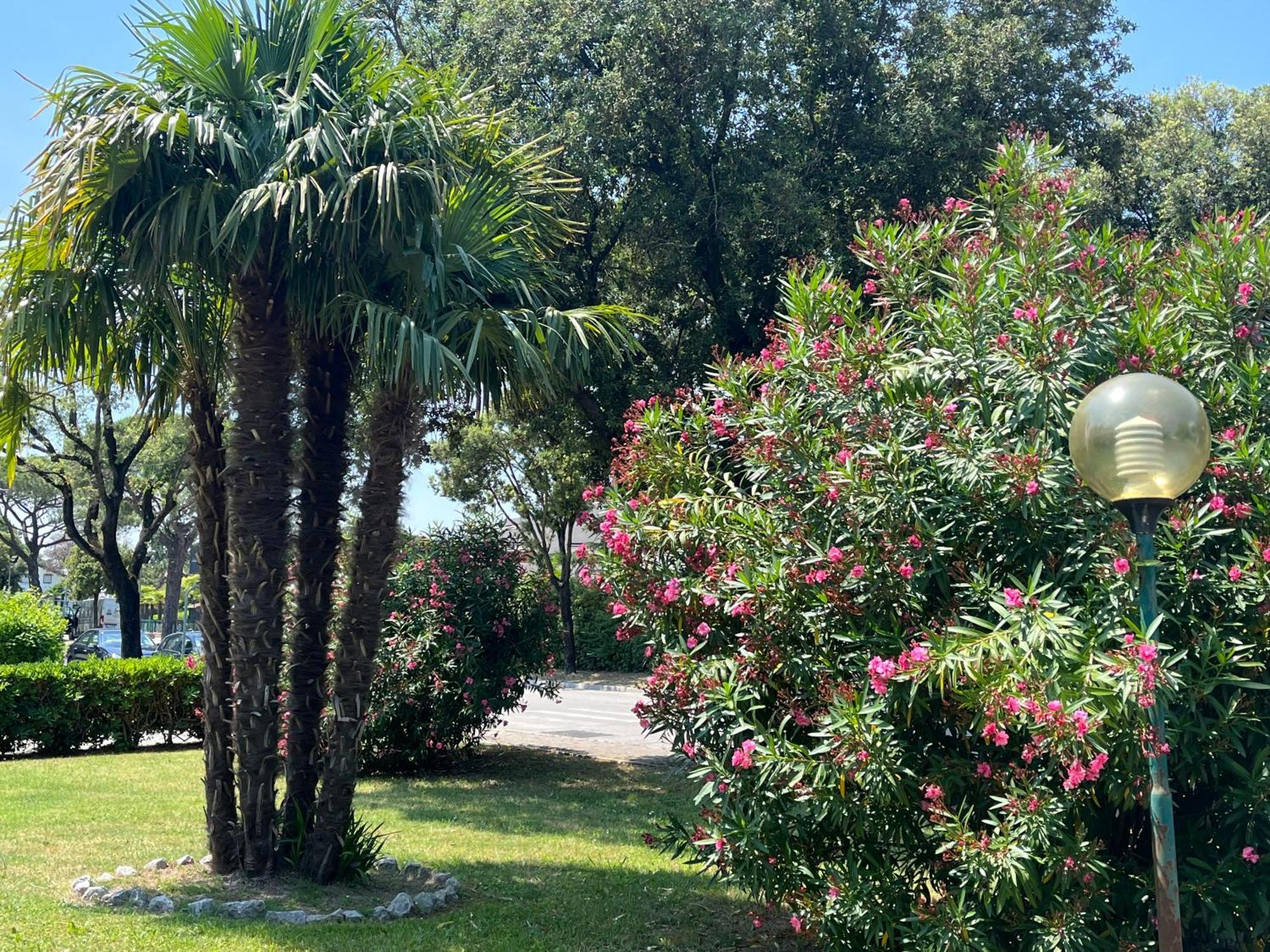Signora Ruth - Aprilia Residence Aprilia Marittima Εξωτερικό φωτογραφία