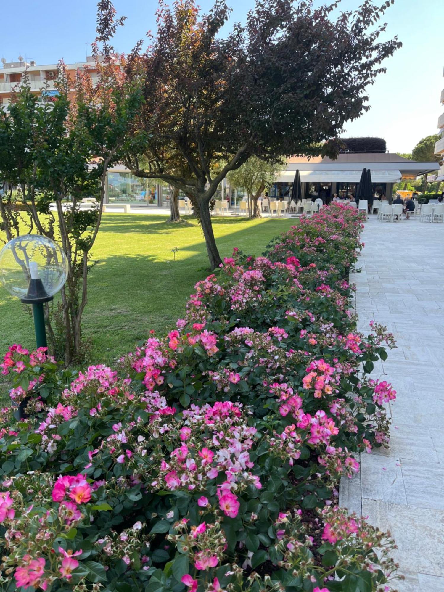 Signora Ruth - Aprilia Residence Aprilia Marittima Εξωτερικό φωτογραφία