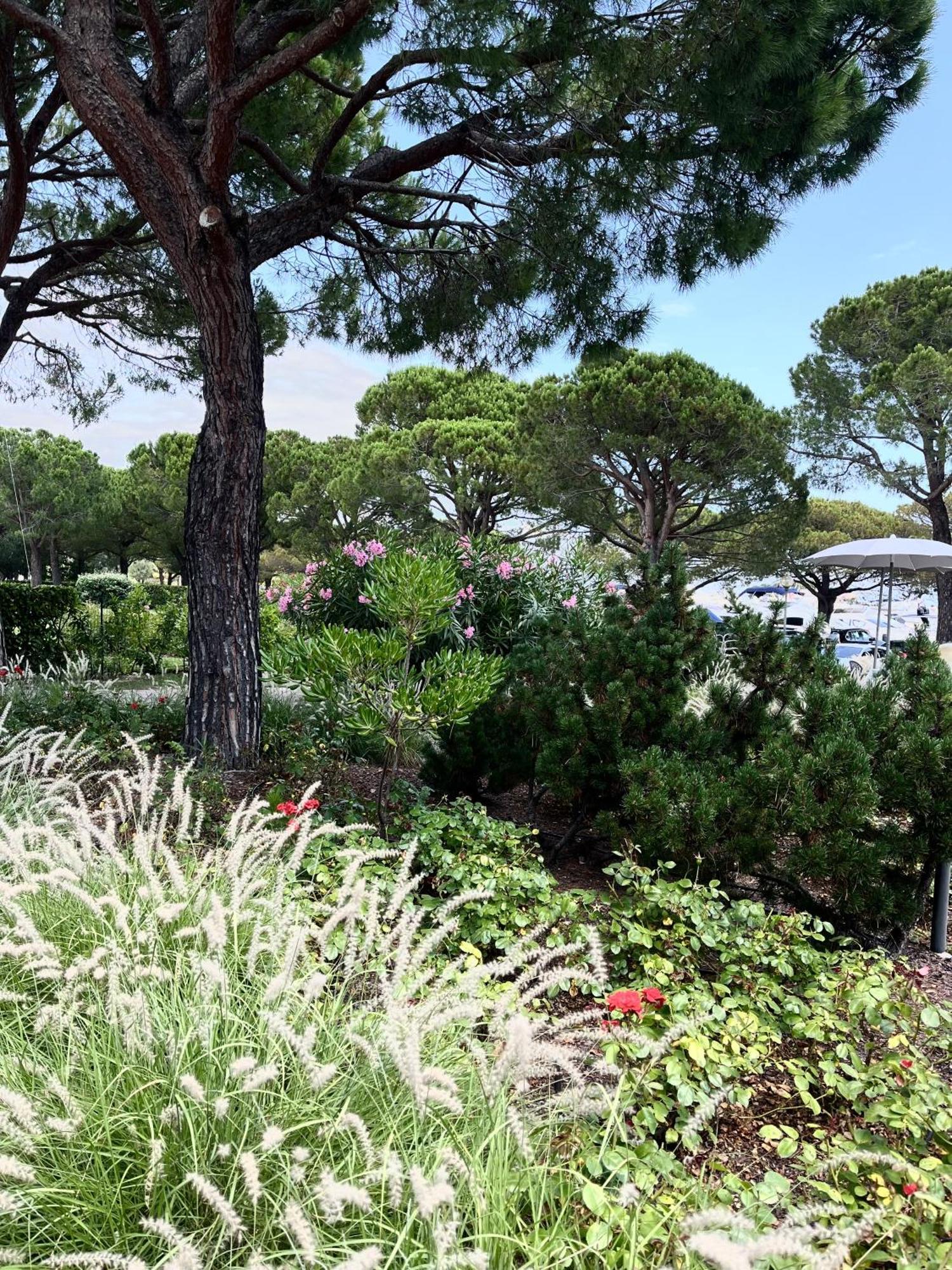 Signora Ruth - Aprilia Residence Aprilia Marittima Εξωτερικό φωτογραφία